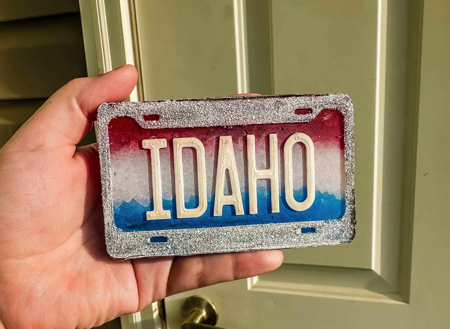 License plate- choose your insert/s- read description