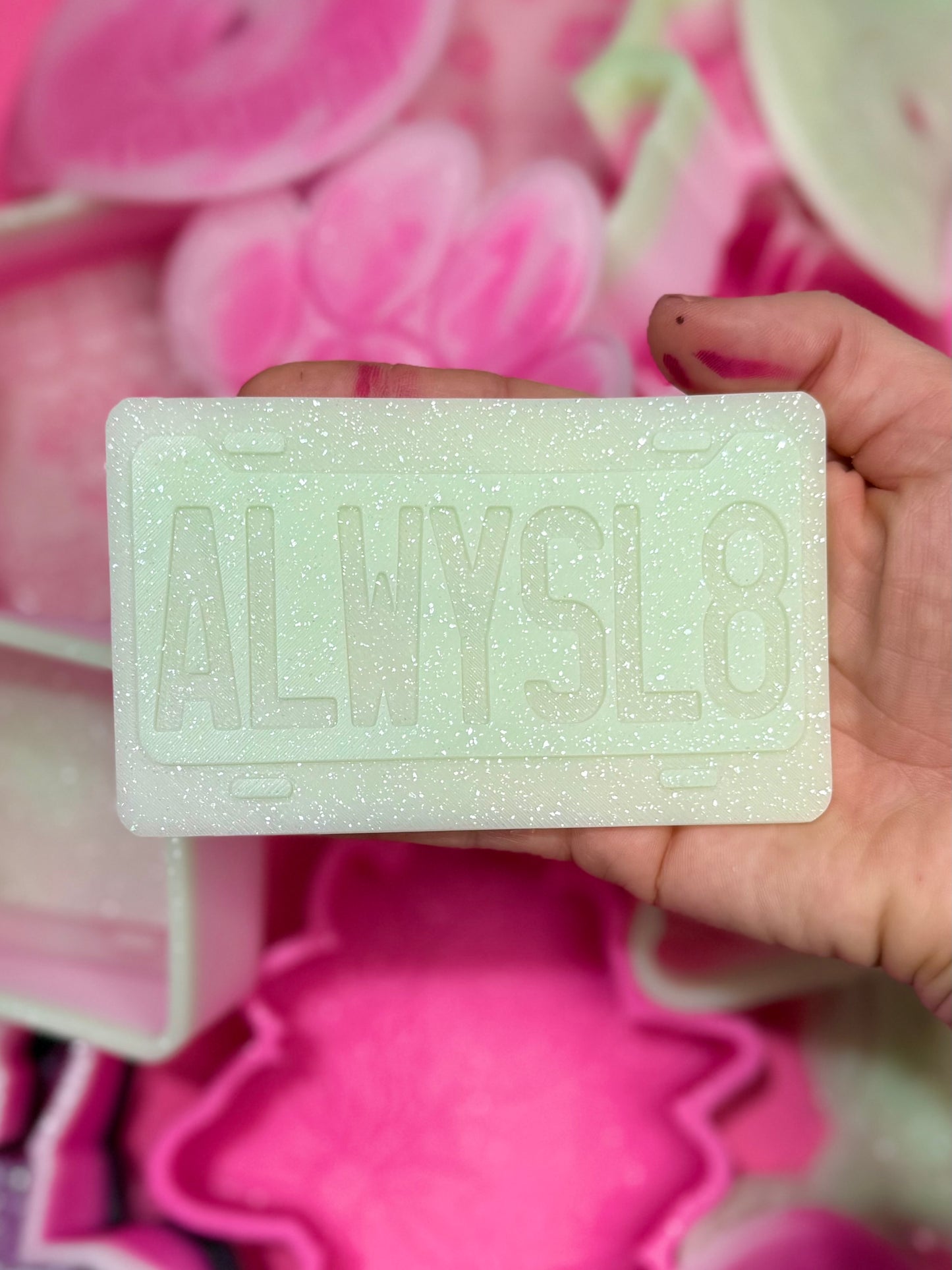 License plate- choose your insert/s- read description