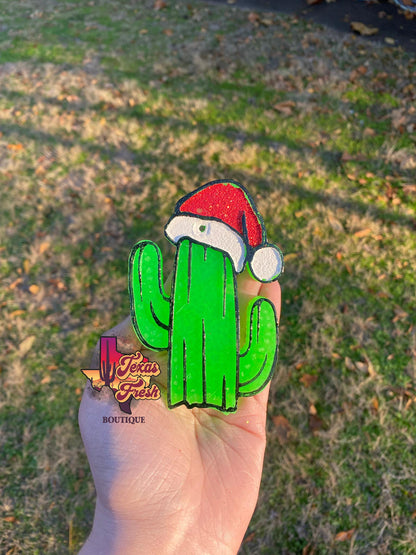 Santa Hat Cactus
