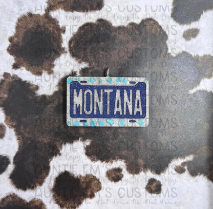 License plate- choose your insert/s- read description