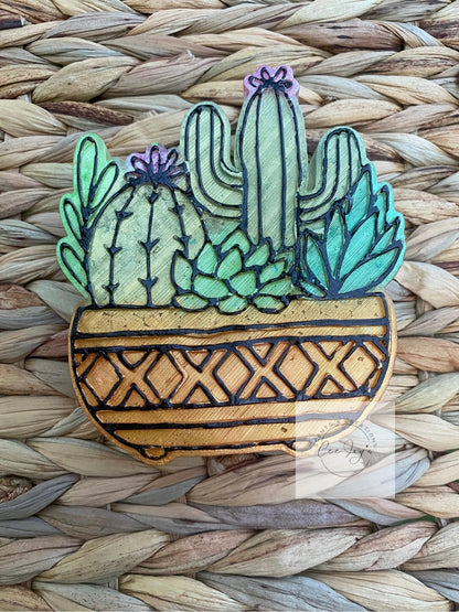 Succulent Pot