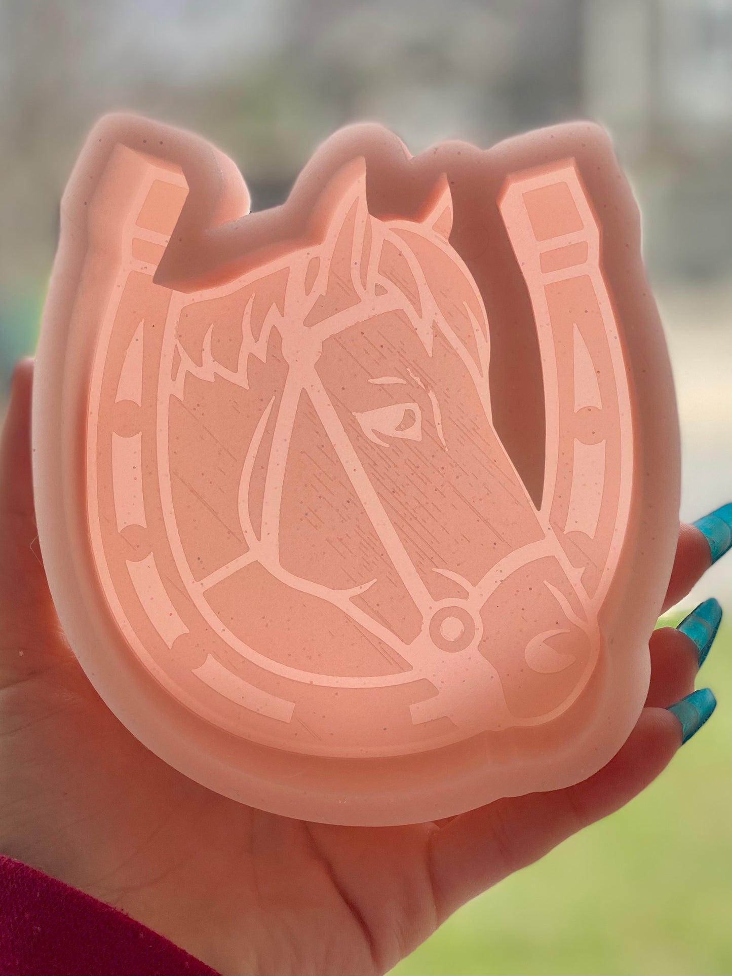 Horse Horseshoe