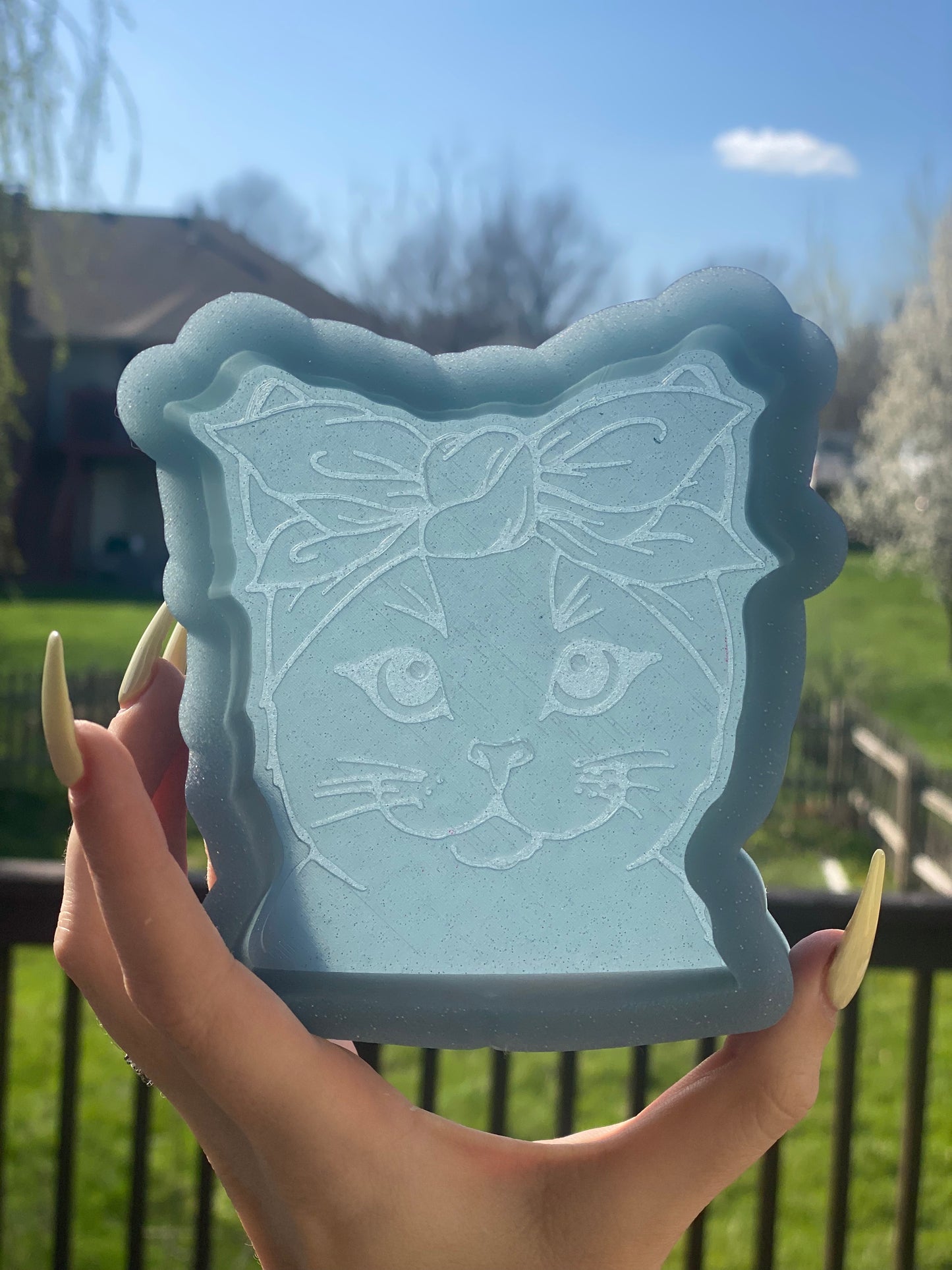 Cat with Bandana